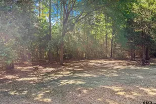 111 Co Rd 4134, Pittsburg, TX 75686 - Photo 37