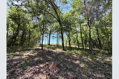 10162 Cr 3202, Chandler, TX 75758 - Photo 5