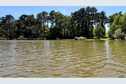 10162 Cr 3202, Chandler, TX 75758 - Photo 1