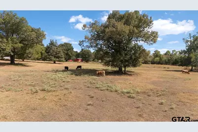 277 County Road 2958, Alba, TX 75410 - Photo 47