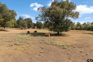277 Co Rd 2958, Alba, TX 75410 - Photo 47