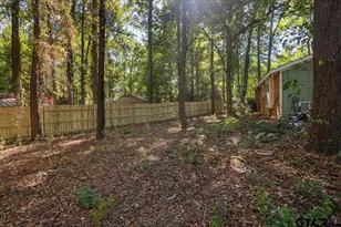 300 Synterra, Lindale, TX 75771 - Photo 35