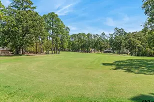 241 Woodside Ln, Holly Lake Ranch, TX 75765 - Photo 13