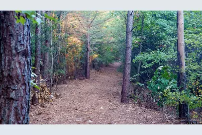 Tbd Fm 2015, Tyler, TX 75708 - Photo 7