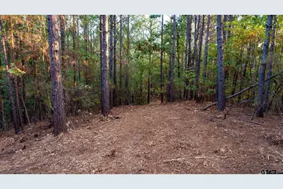 Tbd Fm 2015, Tyler, TX 75708 - Photo 17