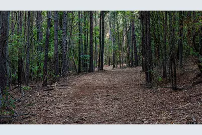 Tbd Fm 2015, Tyler, TX 75708 - Photo 41