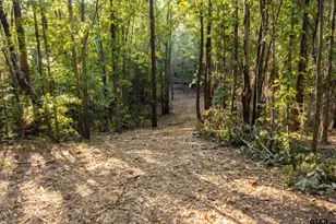 Tbd Fm 2015, Tyler, TX 75708 - Photo 1