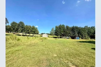 918 Vz County Road 4908, Ben Wheeler, TX 75754 - Photo 25