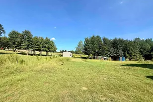 918 Vz County Road 4908, Ben Wheeler, TX 75754 - Photo 25
