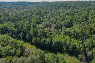 Tbd Cr 1613, Jacksonville, TX 75766 - Photo 1