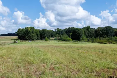 000 Fm 317, Brownsboro, TX 75756 - Photo 27