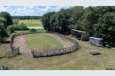 000 Fm 317, Brownsboro, TX 75756 - Photo 5