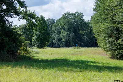 000 Fm 317, Brownsboro, TX 75756 - Photo 21