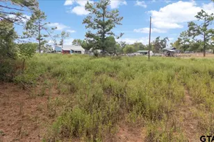 6230 W Cr 4174, Laneville, TX 75667 - Photo 29