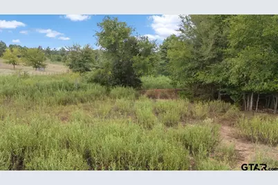 6230 W Cr 4174, Laneville, TX 75667 - Photo 39