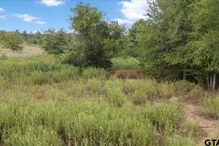 6230 W Cr 4174, Laneville, TX 75667 - Photo 39