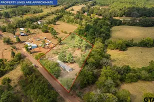 6230 W Cr 4174, Laneville, TX 75667 - Photo 33
