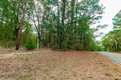 744 Fm 555, Gilmer, TX 75645 - Photo 3