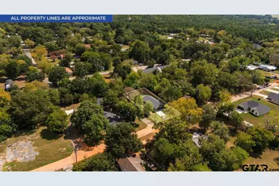 299 Bradford Ave, Arp, TX 75750 - Photo 27