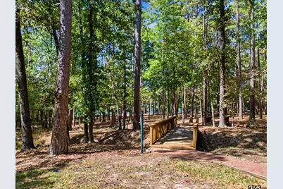 195 Brazos Bend, Holly Lake Ranch, TX 75765 - Photo 9