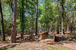 195 Brazos Bend, Holly Lake Ranch, TX 75765 - Photo 9
