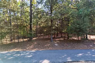 195 Brazos Bend, Holly Lake Ranch, TX 75765 - Photo 41