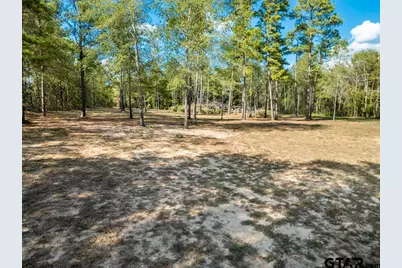 7752 Fm 2888, Naples, TX 75568 - Photo 41