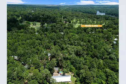 516 Holly Trail East Unit 93, Holly Lake Ranch, TX 75765 - Photo 3