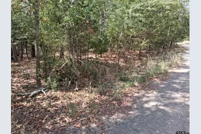 Tbd Hideaway, Murchison, TX 75778 - Photo 5