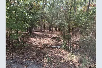 Tbd Hideaway, Murchison, TX 75778 - Photo 3