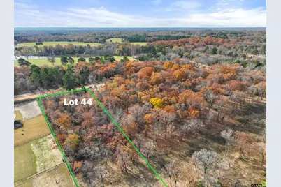 Tbd Tbd Pr 6305 Lot 44, Mineola, TX 75773 - Photo 3