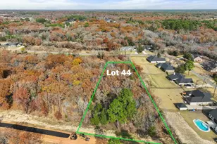 Tbd Tbd Pr 6305 Lot 44, Mineola, TX 75773 - Photo 1