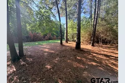 1410 W Duval, Troup, TX 75789 - Photo 17