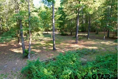 1410 W Duval, Troup, TX 75789 - Photo 9
