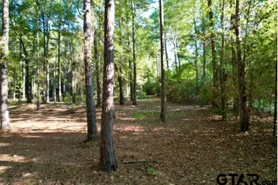 1410 W Duval, Troup, TX 75789 - Photo 33