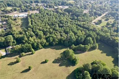 1410 W Duval, Troup, TX 75789 - Photo 29
