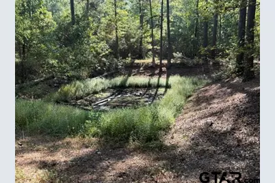 1410 W Duval, Troup, TX 75789 - Photo 21