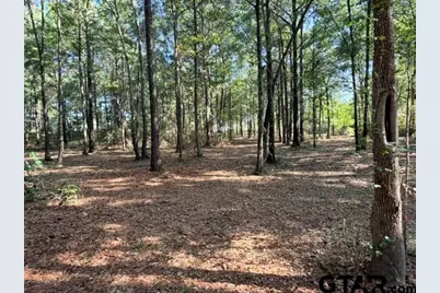 1410 W Duval, Troup, TX 75789 - Photo 23