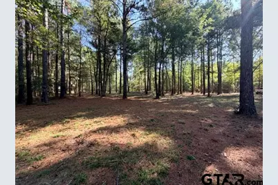 1410 W Duval, Troup, TX 75789 - Photo 19