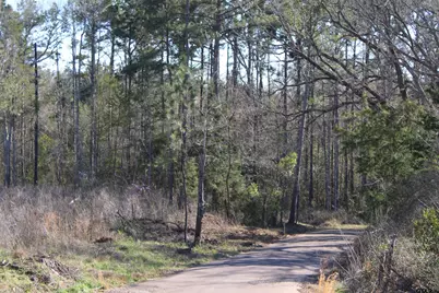 Tbd Cr 1627- 21 Acres, Rusk, TX 75785 - Photo 1