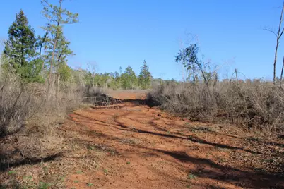 Tbd Cr 1627- 21 Acres, Rusk, TX 75785 - Photo 3