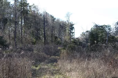 Tbd Cr 1627- 21 Acres, Rusk, TX 75785 - Photo 7