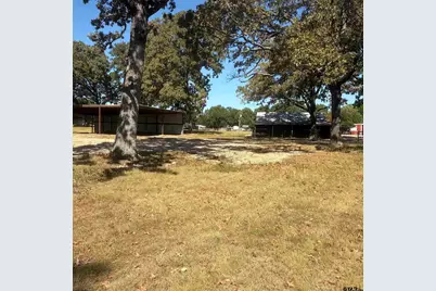 5047 N Fm 17, Alba, TX 75410 - Photo 9