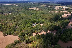 1761 Ironwood Rd, Gilmer, TX 75644 - Photo 45