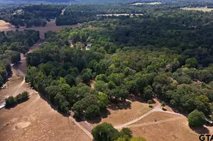1761 Ironwood Rd, Gilmer, TX 75644 - Photo 47