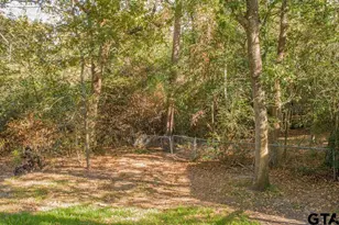 435 Lonestar, Hideaway, TX 75771 - Photo 45