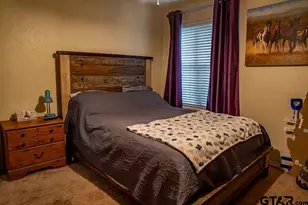 13 Private Rd 52366, Pittsburg, TX 75686 - Photo 15