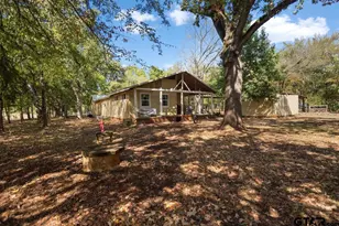 12118 County Rd 313 E, Tyler, TX 75708 - Photo 37