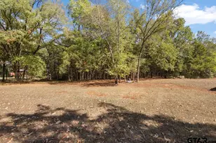 12118 County Rd 313 E, Tyler, TX 75708 - Photo 43