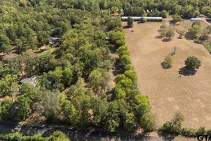 12118 County Rd 313 E, Tyler, TX 75708 - Photo 45